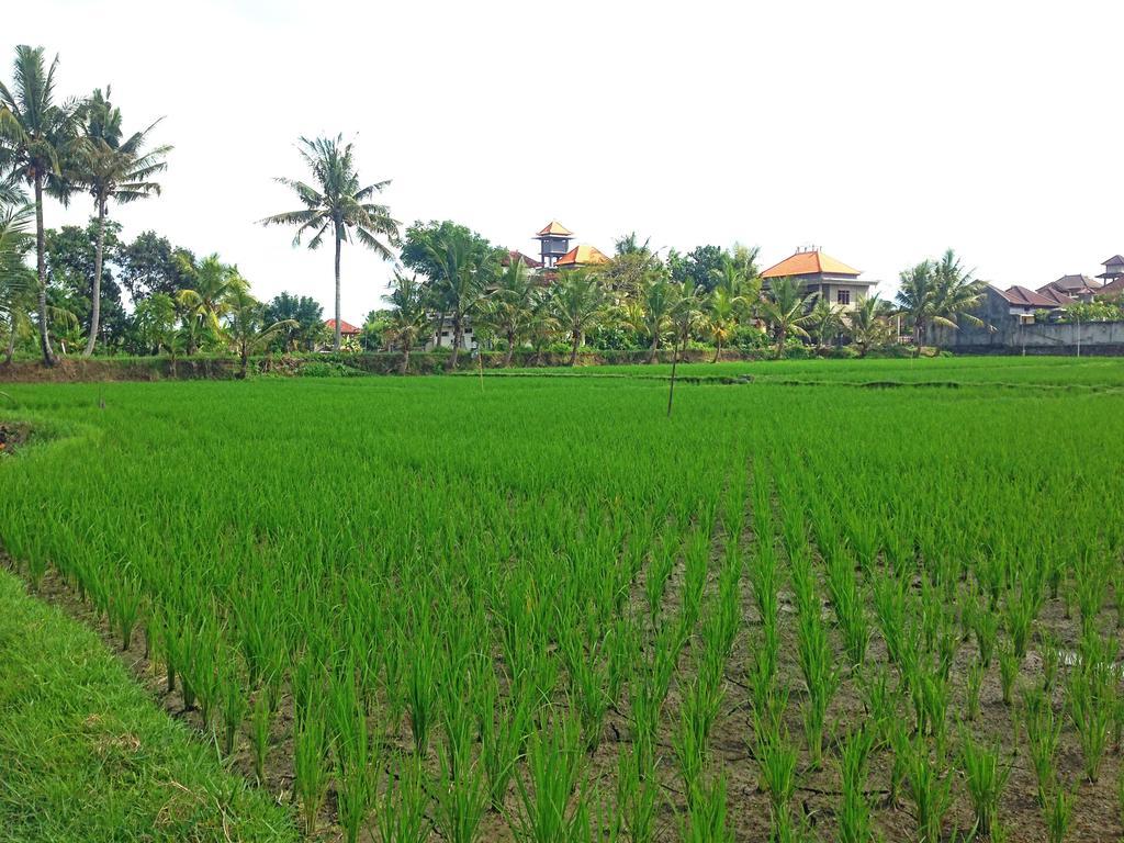 Rena House Ubud Extérieur photo